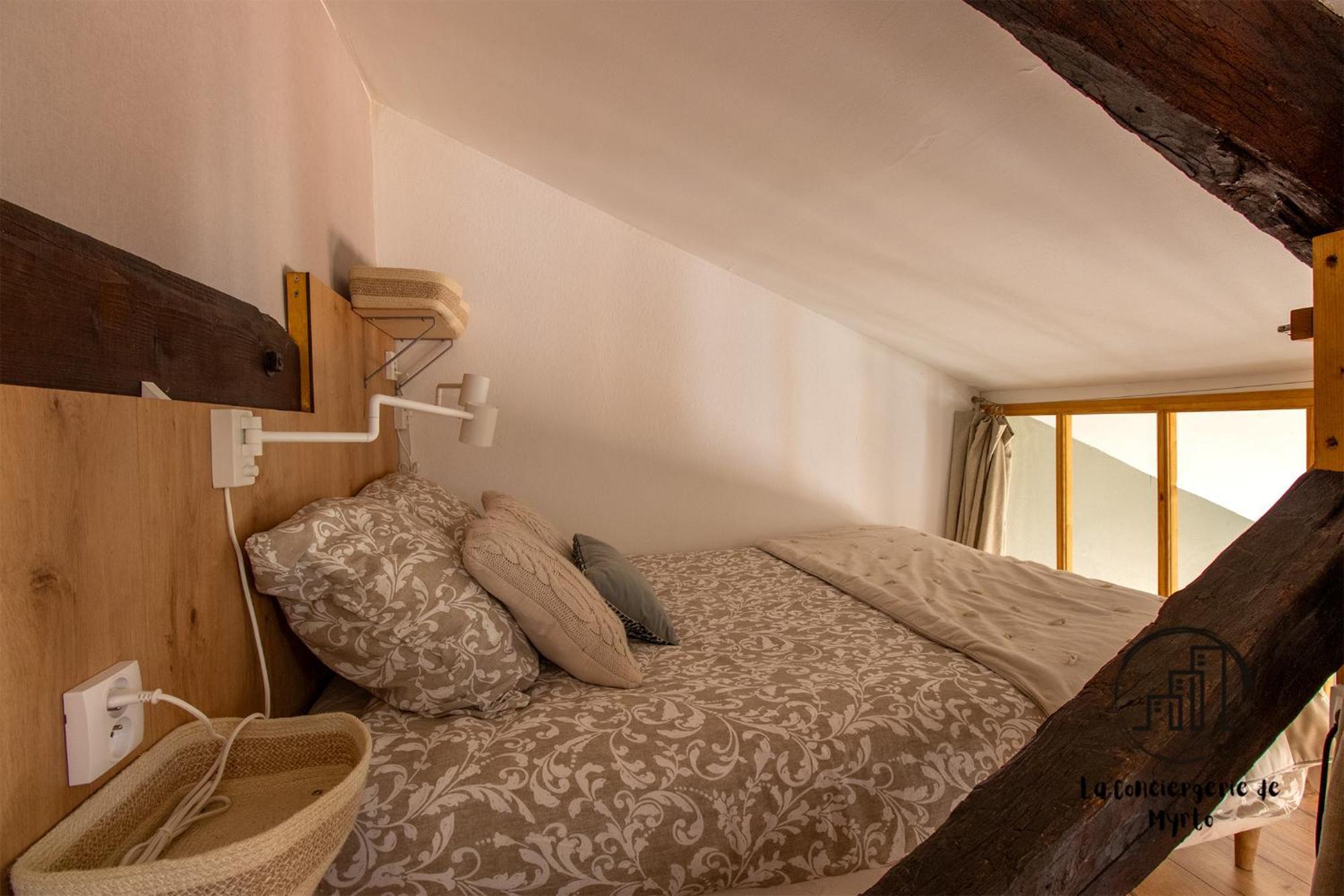 The Nest, Parking, Centre, Vue Sur La Cathedrale Apartment Albi Exterior foto